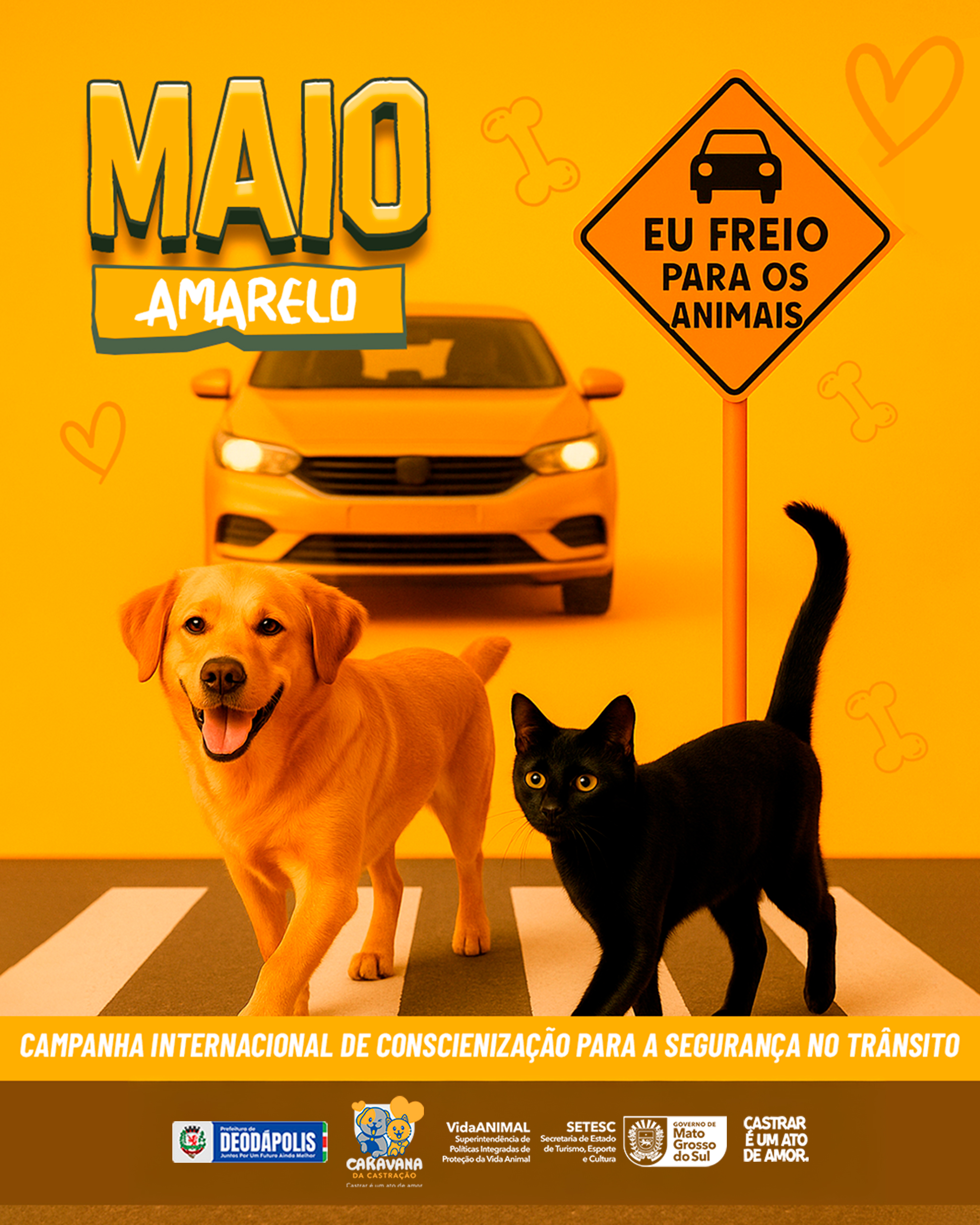 Notícia