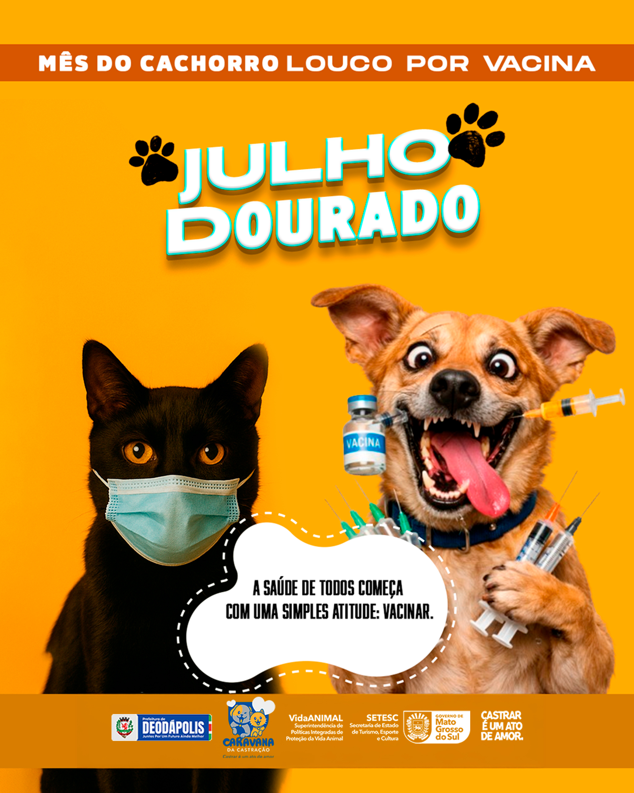 Notícia