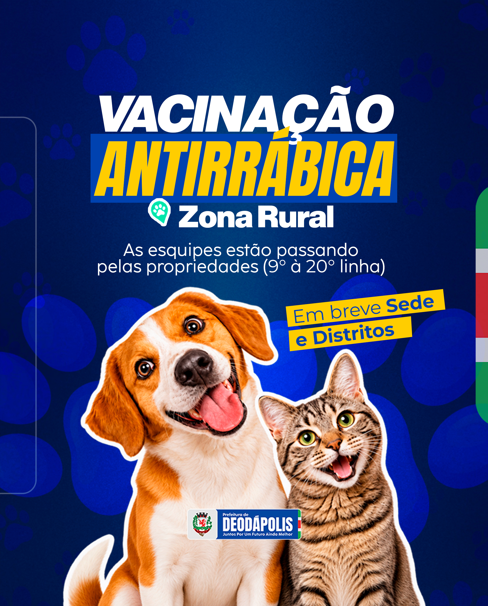 Notícia